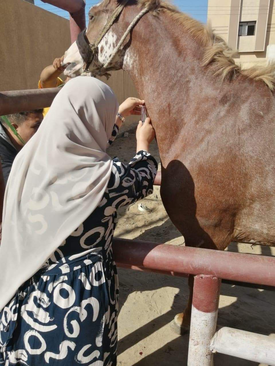 الكشف على الحيوانات أثناء القوافل المجانية