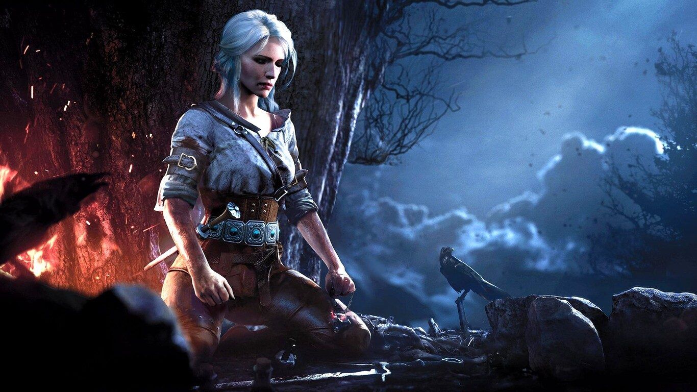 The Witcher