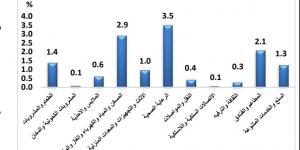 كيف تراجع معدل التضخم؟ الخضروات والفاكهة يتصدران أسباب تراجع معدل التضخم الشهرى - في المدرج