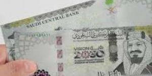 سعر الريال السعودي اليوم الأحد 10-11-2024 أمام الجنيه المصري بالبنوك - في المدرج