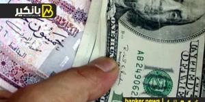 سعر الدولار أمام الجنيه المصري في نهاية تعاملات اليوم الأحد 10-11-2024