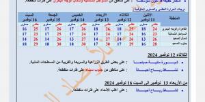 حالة الطقس الساعات المقبلة .. الأرصاد: مائل للبرودة على جميع الأنحاء