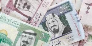 سعر الريال السعودى اليوم الأربعاء 13-11-2024 - في المدرج