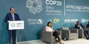 وزير المالية يدعو لتضافر الجهود الدولية في التمويل المناخي بمؤتمر COP29