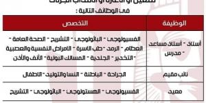 التفاصيل كامله.. جامعة ميريت تعلن حاجتها إلى أعضاء هيئة التدريس في 20 تخصصا.. وظيفة جامعه