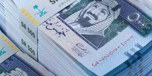 13.13 جنيه للشراء.. سعر الريال السعودي اليوم الجمعة 15 نوفمبر مقابل الجنيه المصري