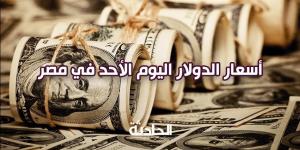 سعر الدولار اليوم الأحد 17 نوفمبر 2024 في البنوك.. 49.31 شراء