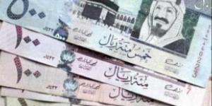 سعر الريال السعودي اليوم الخميس 21 نوفمبر 2024 قبل ساعات من اجتماع البنك المركزي - في المدرج