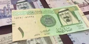 سعر الريال السعودي اليوم الأحد 24-11-2024 في البنك المركزي المصري