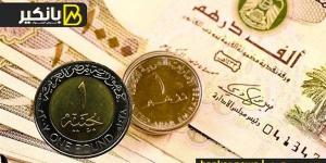 سعر الدرهم الاماراتي أمام الجنيه المصري في تعاملات اليوم الخميس 5-12-2024