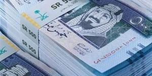 سعر الريال السعودي مقابل الجنيه اليوم الخميس 5 ديسمبر 2024 بالبنوك - في المدرج