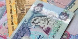 سعر الدرهم الإمارتى أمام الجنيه المصرى اليوم الخميس 5-12-2024 - في المدرج