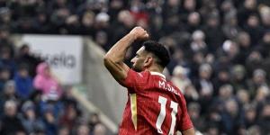 ناصر الخليفي: أحب محمد صلاح.. لكننا لم نتفاوض لضمه - في المدرج