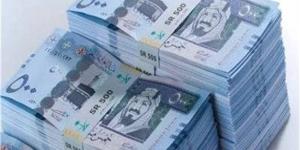 سعر الريال السعودي اليوم السبت 7 ديسمبر 2024 في مصر - في المدرج