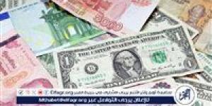 أسعار الدولار اليوم في مصر: استقرار نسبي مع تغييرات طفيفة في بعض البنوك