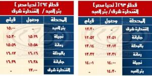 السكة الحديد تعلن مواعيد القطارات على خط القنطرة شرق بئر العبد وبشتيل كفر داوود