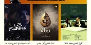 السبت.. المركز القومي للسينما يقيم عروض وفعاليات نادي السينما المستقلة