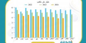 إنتاج مصر من الغاز ينخفض 8 مليارات متر مكعب في 10 أشهر