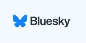 بعدد 25 مليون مستخدم.. Bluesky تواجه الذكاء الاصطناعى بتمويل قيمته مليون دولار - في المدرج