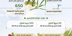 8 معلومات تكشف استعدادات الحكومة لموسم قصب السكر 2025