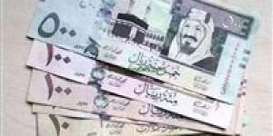 الان.. سعر الريال السعودي أمام الجنيه المصري