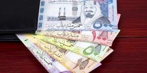 سعر الريال السعودي اليوم الثلاثاء 24 ديسمبر 2024 في مصر مقابل الجنيه المصري