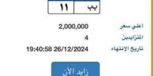 بـ2 مليون جنيه.. 4 أشخاص يتنافسون على لوحة سيارة "ب ب - 11" المميزة - في المدرج