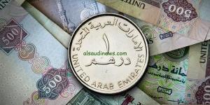 سعر الدرهم الإماراتي مقابل الجنيه المصري اليوم الخميس 26-12-2024 في البنوك المصرية