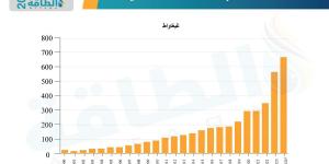 قطاع الطاقة المتجددة في 2024.. طفرة قياسية وتوقعات طموحة