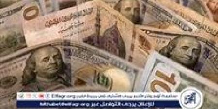 استقرار سعر الدولار مقابل الجنيه المصري اليوم الأحد 17 نوفمبر 2024