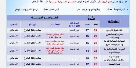 أمطار رعدية وخفيفة .. حالة الطقس اليوم الثلاثاء 19 نوفمبر 2024