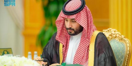 بعد إعلان ميزانية 2025.. ولي العهد السعودي: سنواصل العمل على تنويع وتوسيع القاعدة الاقتصادية - في المدرج