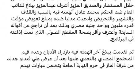 "سب وقذف وازدراء أديان".. إبراهيم فايق يتقدم ببلاغين ضد الحكم محمد عادل