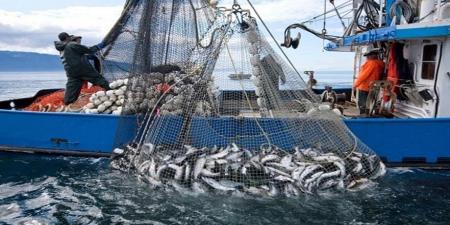 غامبيا ترغب في الاستفادة من تجربة المغرب في قطاع الصيد البحري