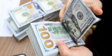 سعر الدولار اليوم الجمعة 13-12-2024 في البنك المركزي المصري