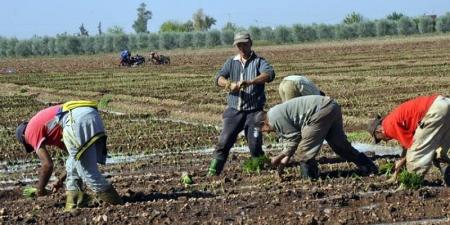 غياب التساقطات المطرية يعقد وضعية الفلاحين بجهة فاس مكناس (فيديو)