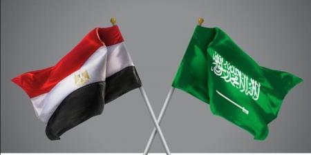 الحكومة توافق على تشكيل "مجلس التنسيق الأعلى المصري السعودي"