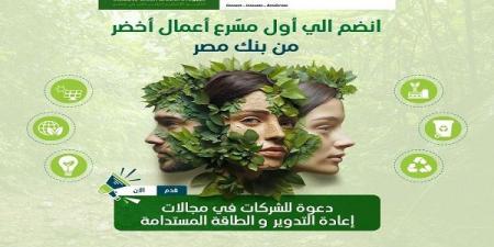 بالتعاون مع UNIDO.. بنك مصر يُطلق برنامج TEQDAR Go Green للشركات