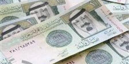 سعر الريال السعودي مقابل الجنيه المصري اليوم الأربعاء 18 ديسمبر 2024