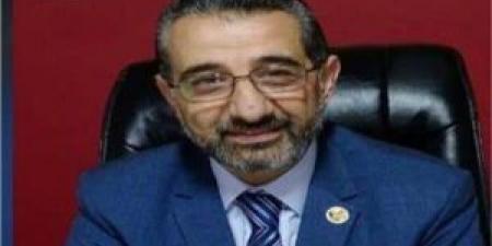 د. عمرو السمدوني: الرئيس السيسي عازم على تحويل مصر إلى مركز إقليمي للنقل وتجارة الترانزيت