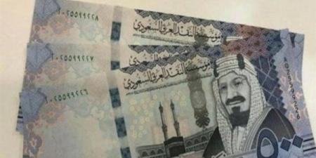 سعر الريال السعودي اليوم الثلاثاء 24-12-2024 في البنك المركزي