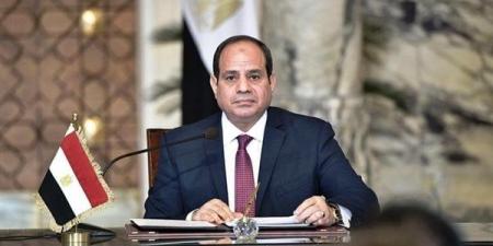 عاطف الشيتاني: "الرئيس السيسي يتعامل مع المشكلة السكانية بكل شفافية"