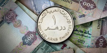 سعر الدرهم الإماراتي اليوم الأربعاء 25-12-2024 في البنك المركزي المصري