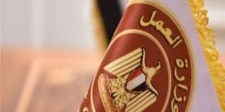 وزارة العمل تكشف تفاصيل وظائف عمل المصريين بالإمارات