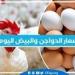 أسعار الدواجن اليوم السبت 16-11-2024 في الدقهلية