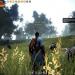 لعبة Black Desert من Pearl Abyss أصبحت متاحة مجانًا على Steam!