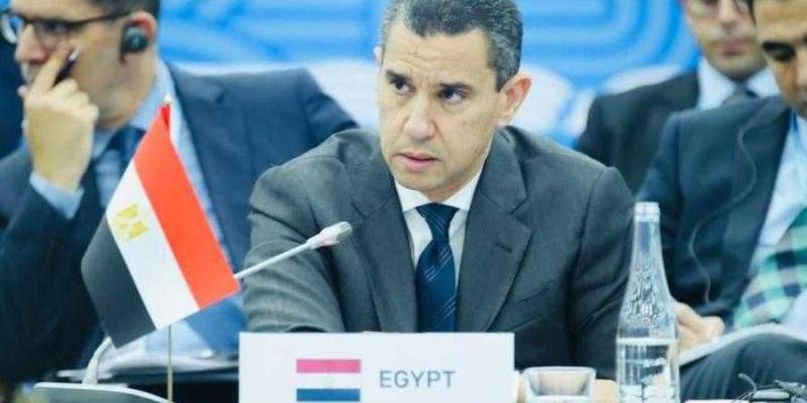 الممثل الشخصى للرئيس السيسى يرأس وفد مصر للاعداد لقمة العشرين فى البرازيل