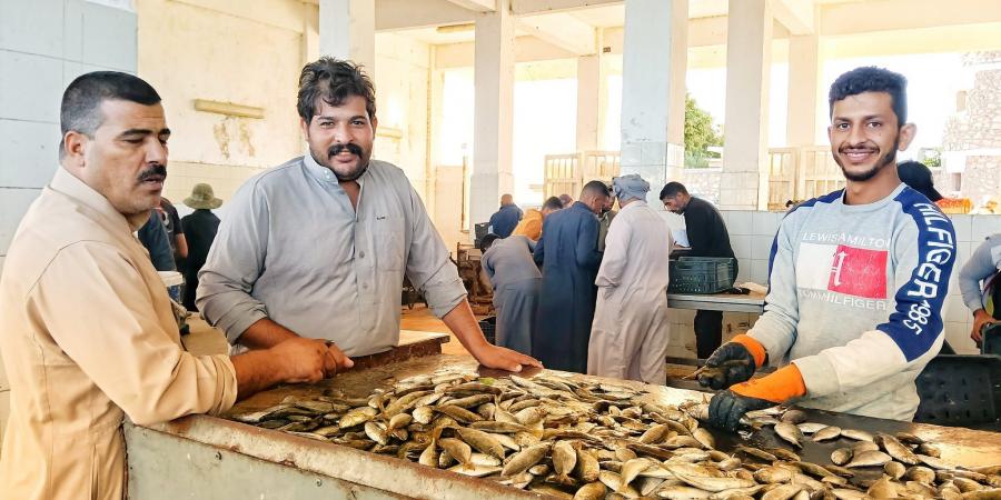 بحيرة البردويل كنز الثروة السمكية على ساحل البحر المتوسط - في المدرج