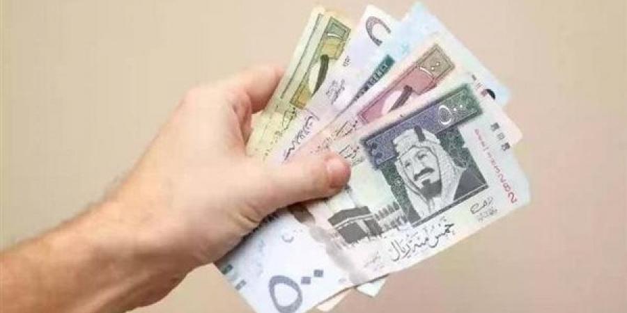 سعر الريال السعودي اليوم الثلاثاء 12 نوفمبر 2024 في مصر مقابل الجنيه المصري