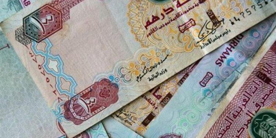 سعر الدرهم الإماراتي اليوم الثلاثاء 12 نوفمبر 2024 بالبنوك - في المدرج